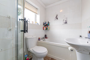 Photo 10- click for photo gallery